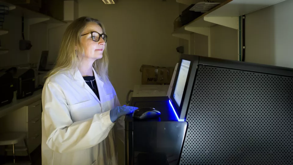 Forskare vid Lunds universitet studerar DNA-metyleringar.