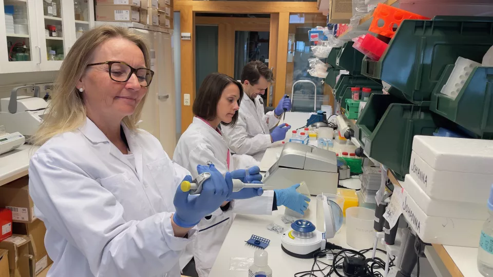 Photograph of three diabetes researchers in the lab.