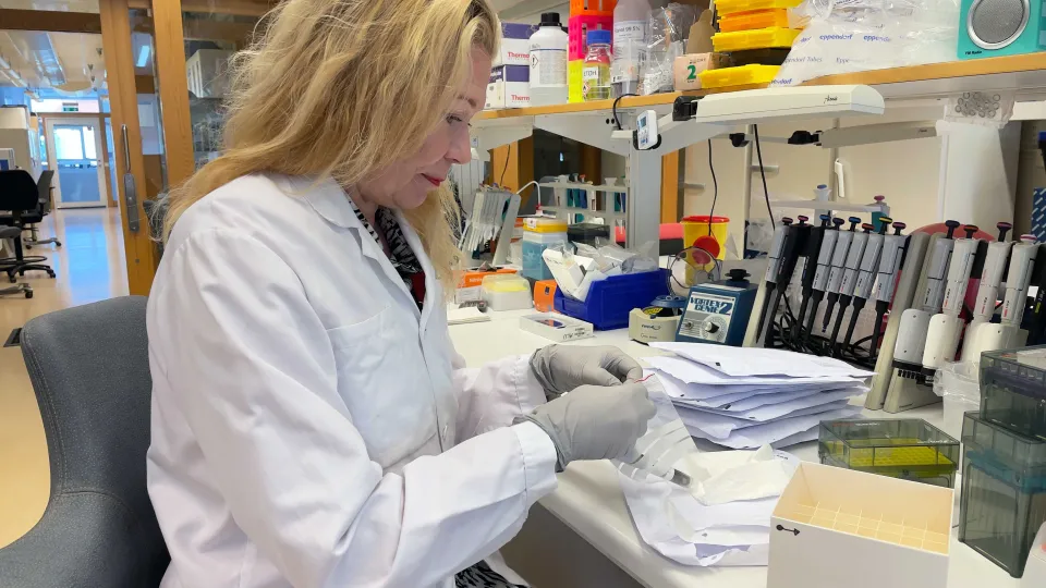 Foto på Marju Orho-Melander i labbet. 