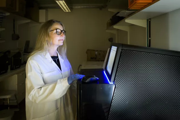 Forskare vid Lunds universitet studerar DNA-metyleringar.