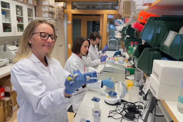Photograph of three diabetes researchers in the lab.