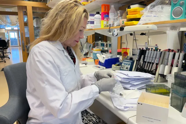 Foto på Marju Orho-Melander i labbet.