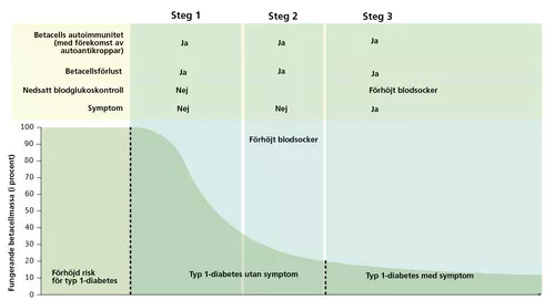  Sjukdomsutvecklingens tre steg. Bild: Nature Reviews Disease Primers (med tillstånd av professor Åke Lernmark)